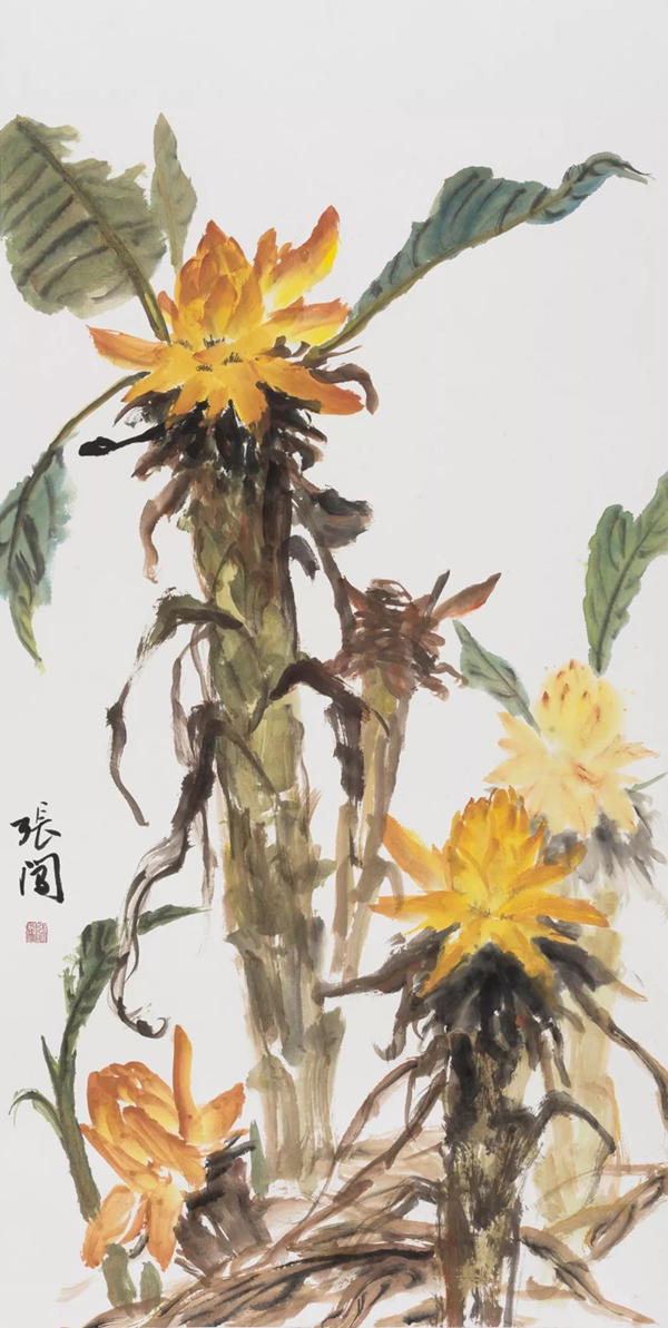 因此,地涌金莲也被