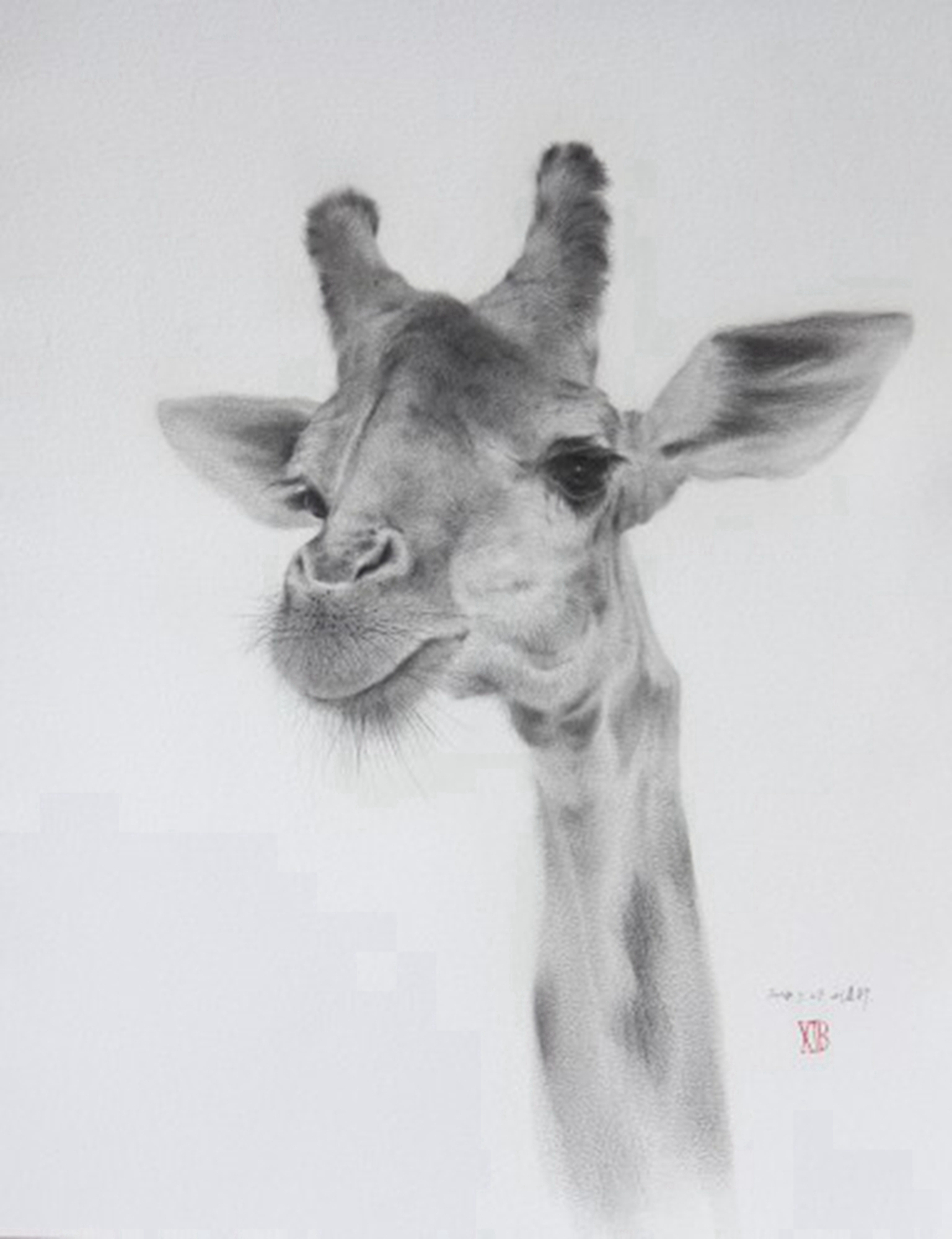 动物园的长颈鹿 _纸本水墨_国画_宝甄网