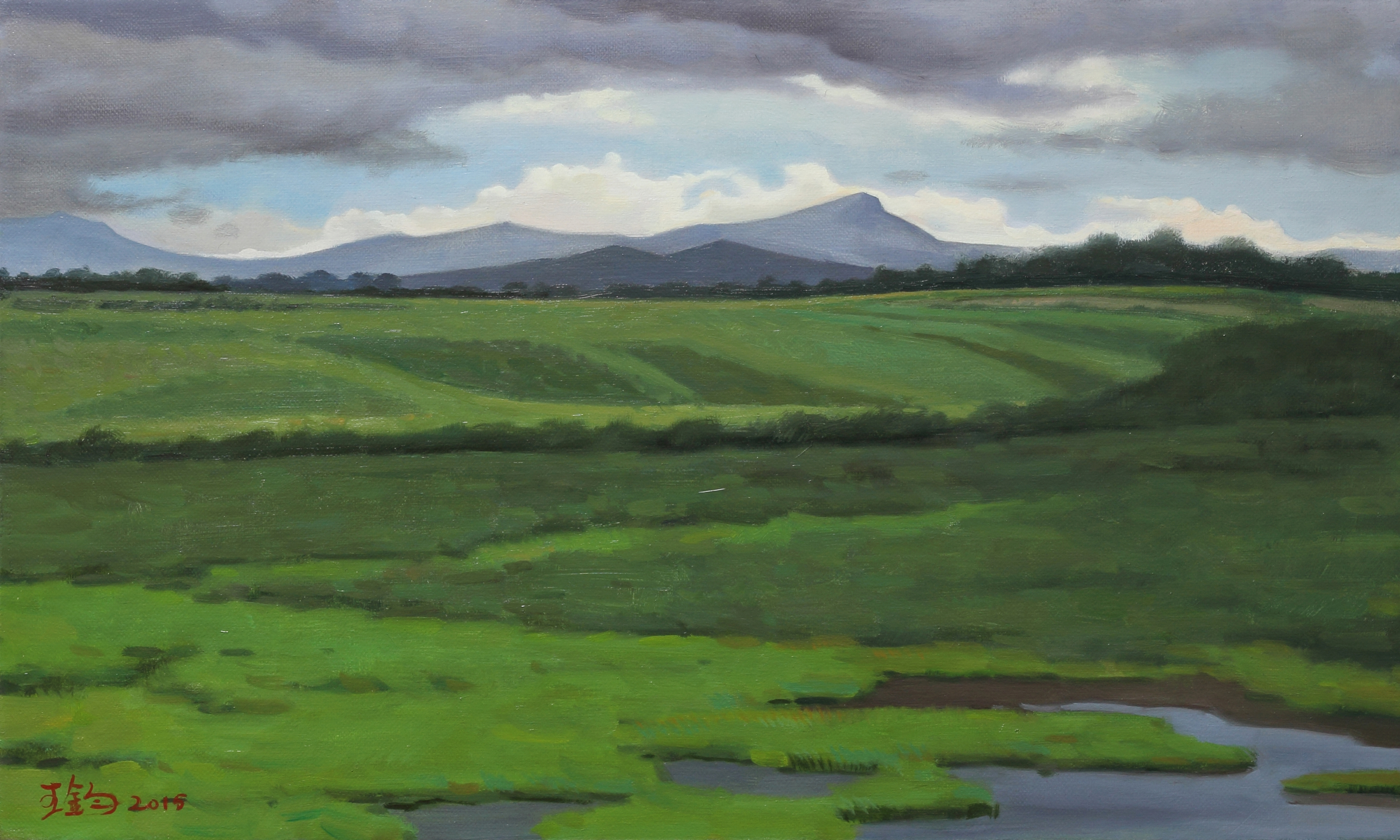 草原雨季_布面油画_油画_宝甄网