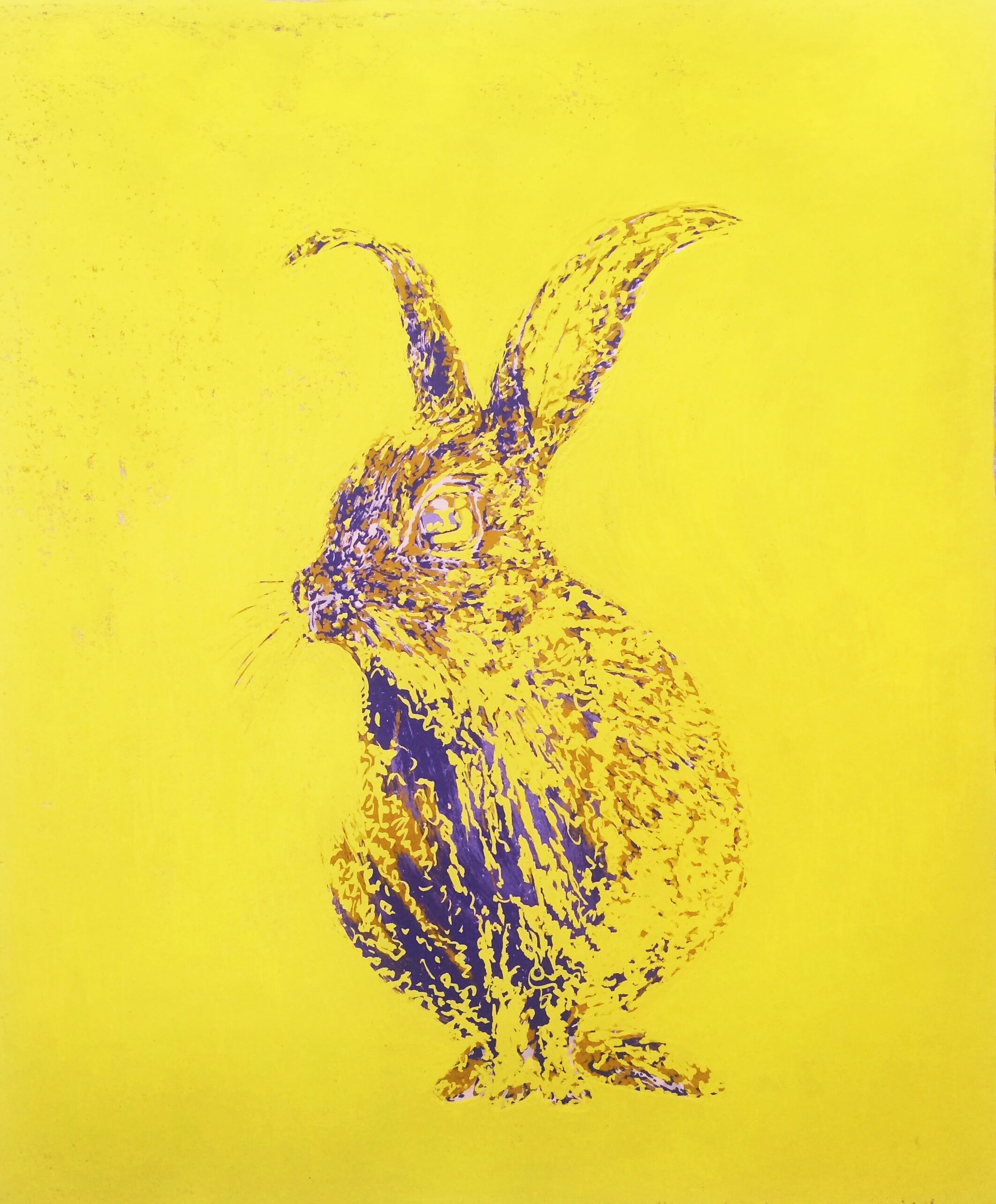 伏尔特家的兔子_丝网版_版画_宝甄网