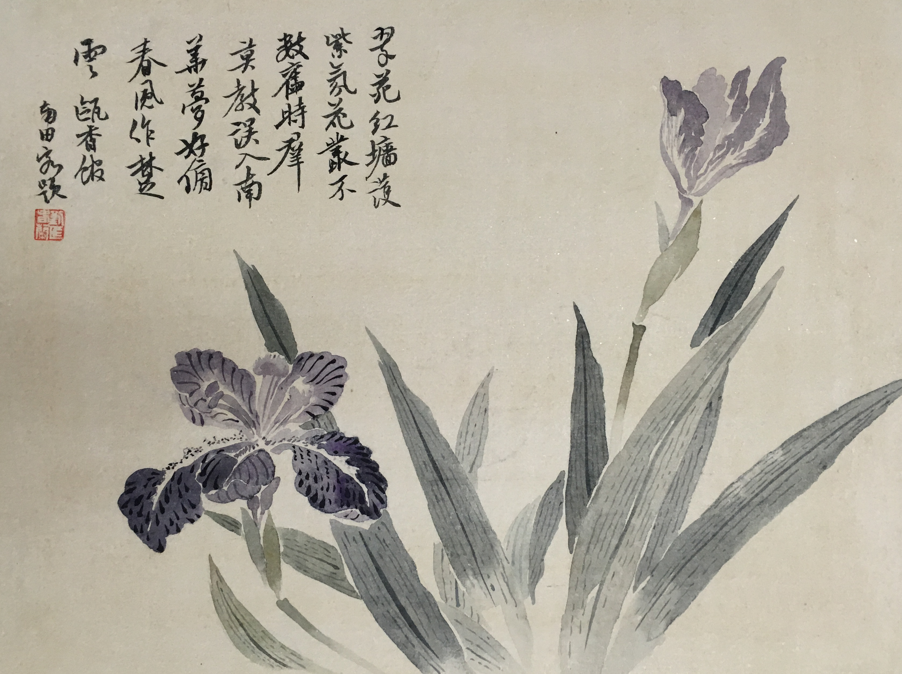 花卉没骨