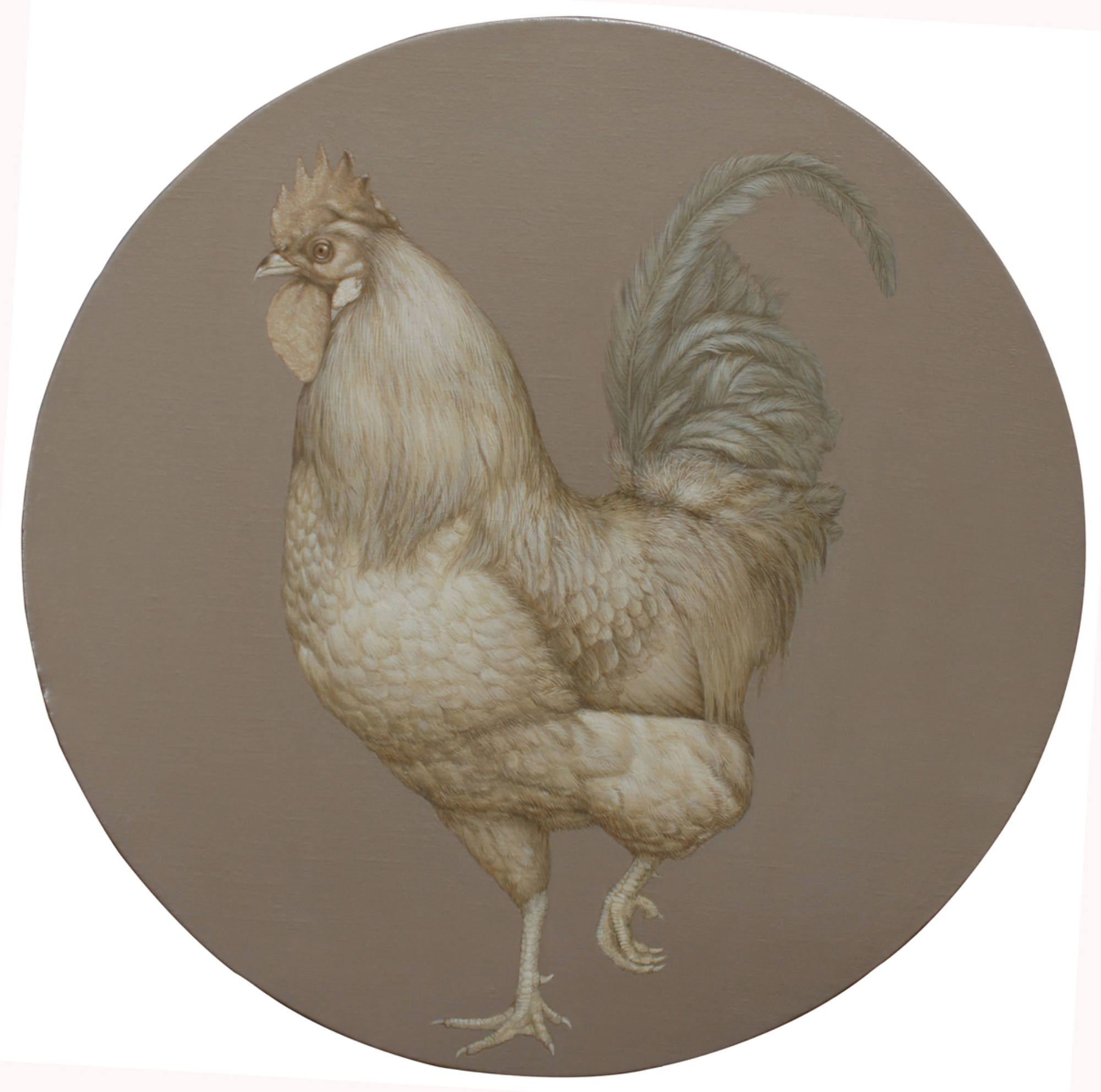 十二生肖之鸡_布面油画_油画_宝甄网