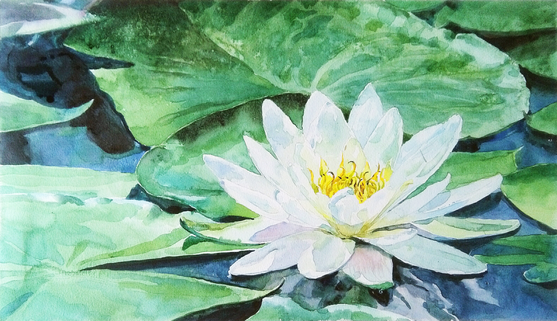 睡莲2_纸本水彩_水彩_宝甄网