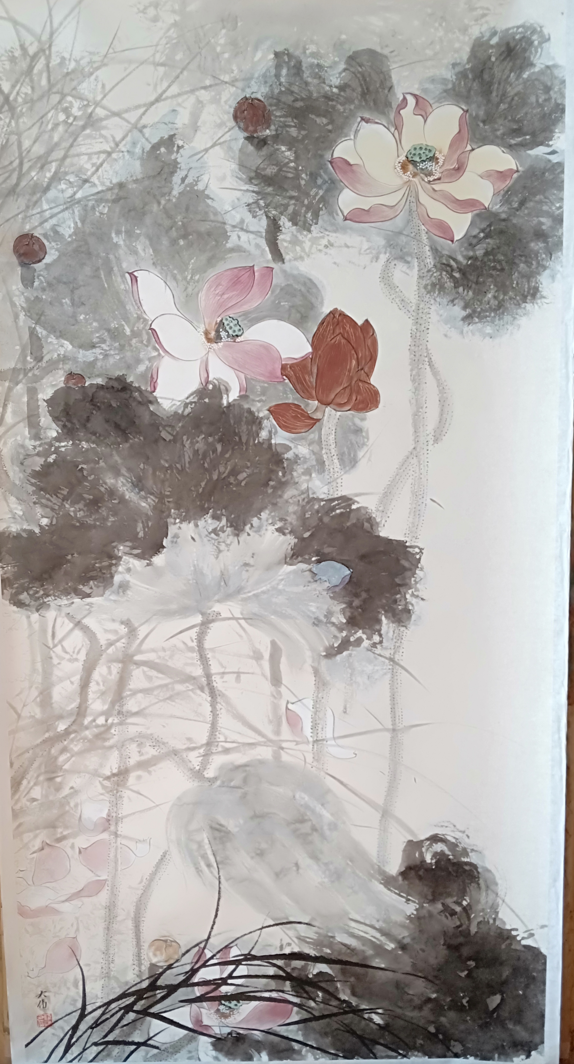荷花4