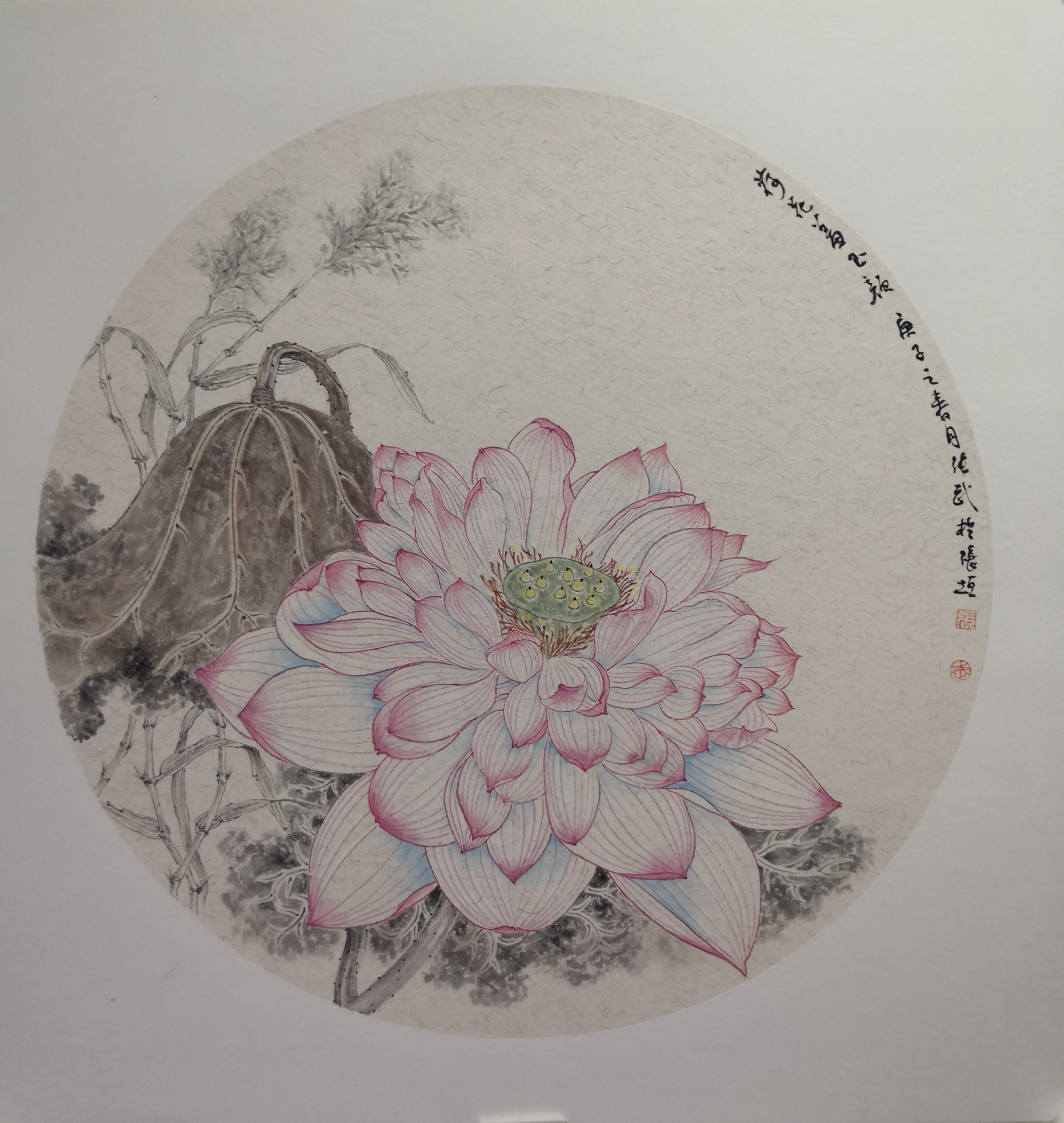 水芙蓉_纸本工笔_国画_宝甄网
