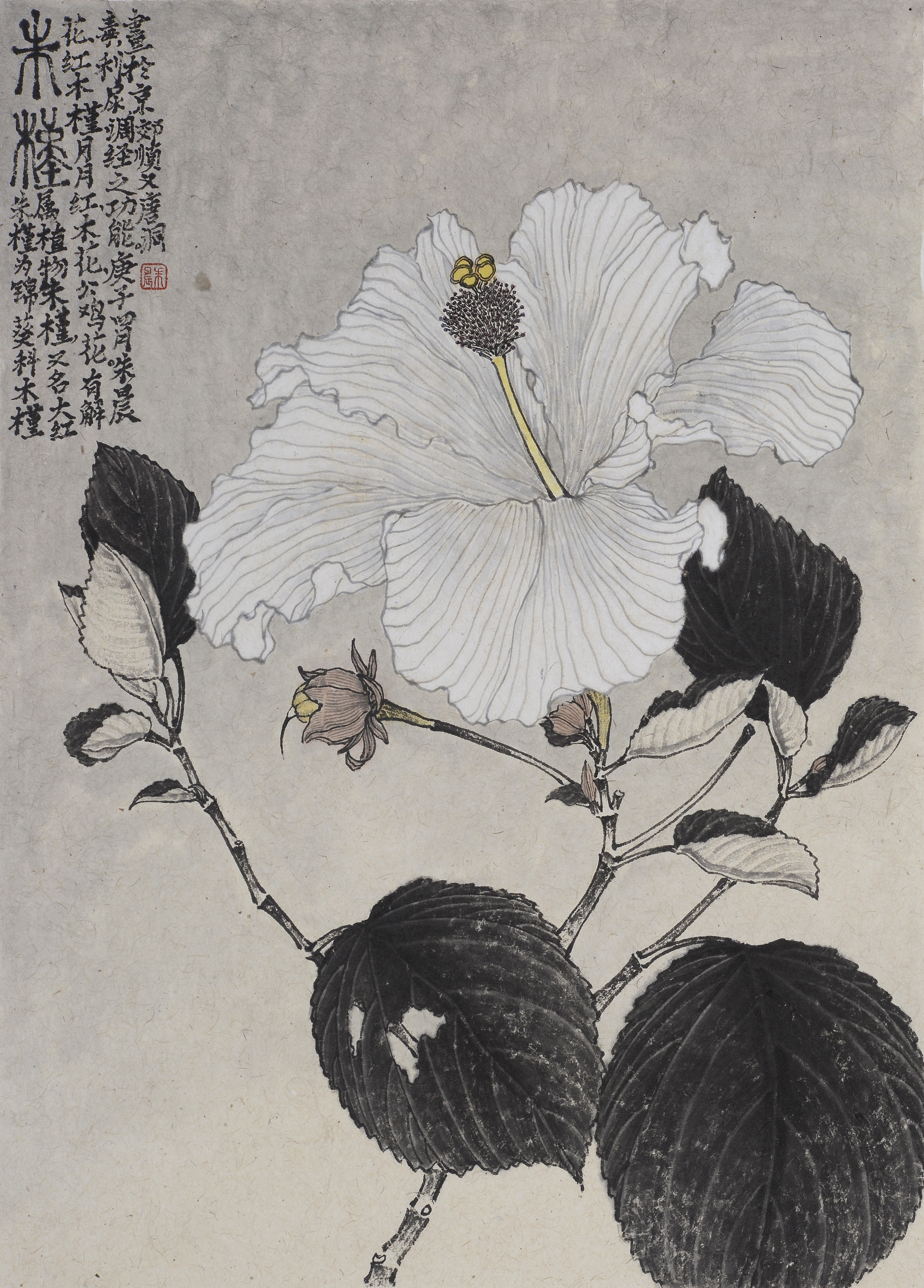 木槿_纸本水墨_国画_宝甄网